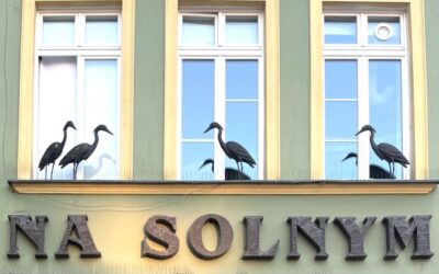 „Sollen wir das allein machen?“